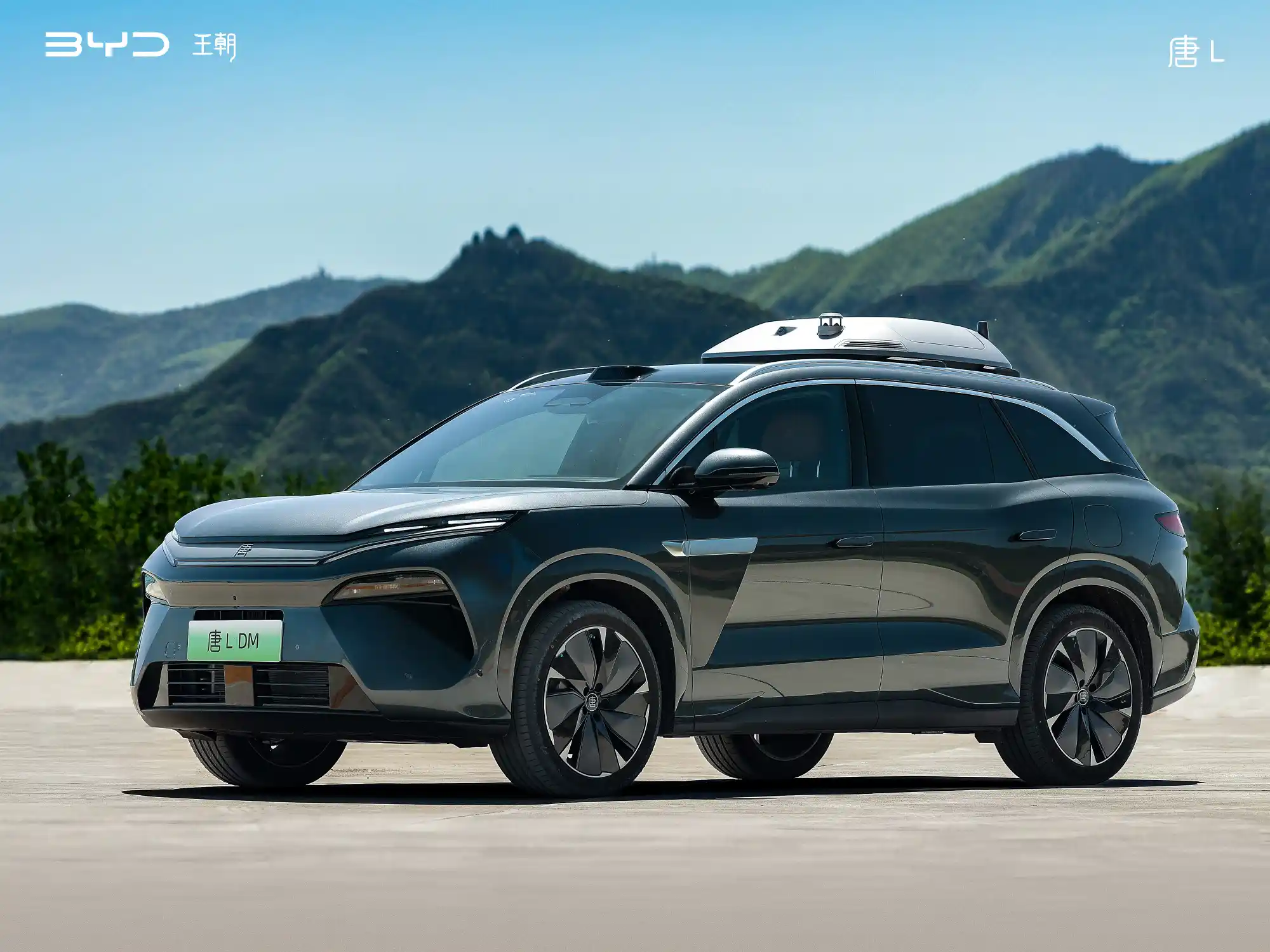 Tang L PHEV